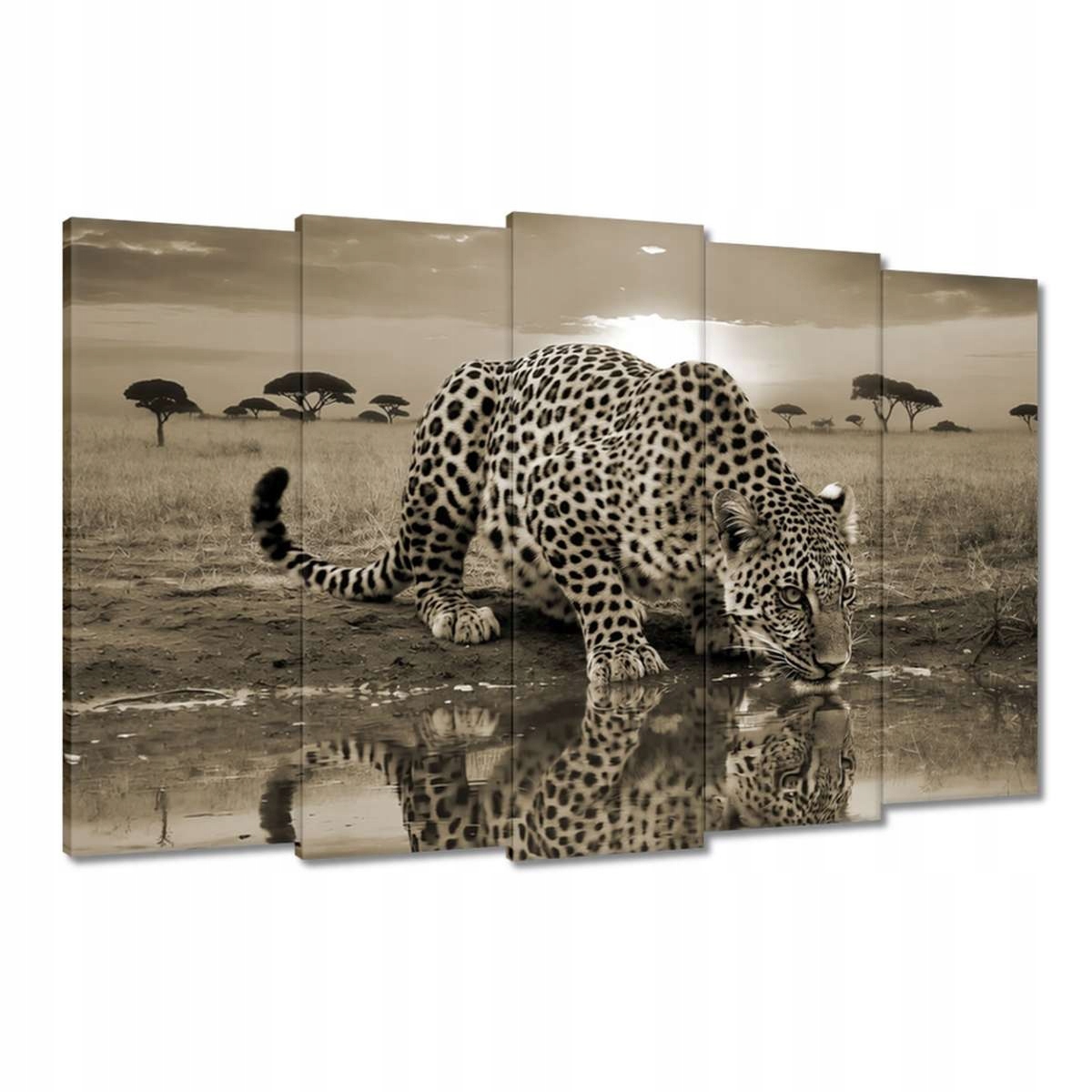 Obrazy 150x95 Gepard Tygr Zvířata Obývací Pokoj