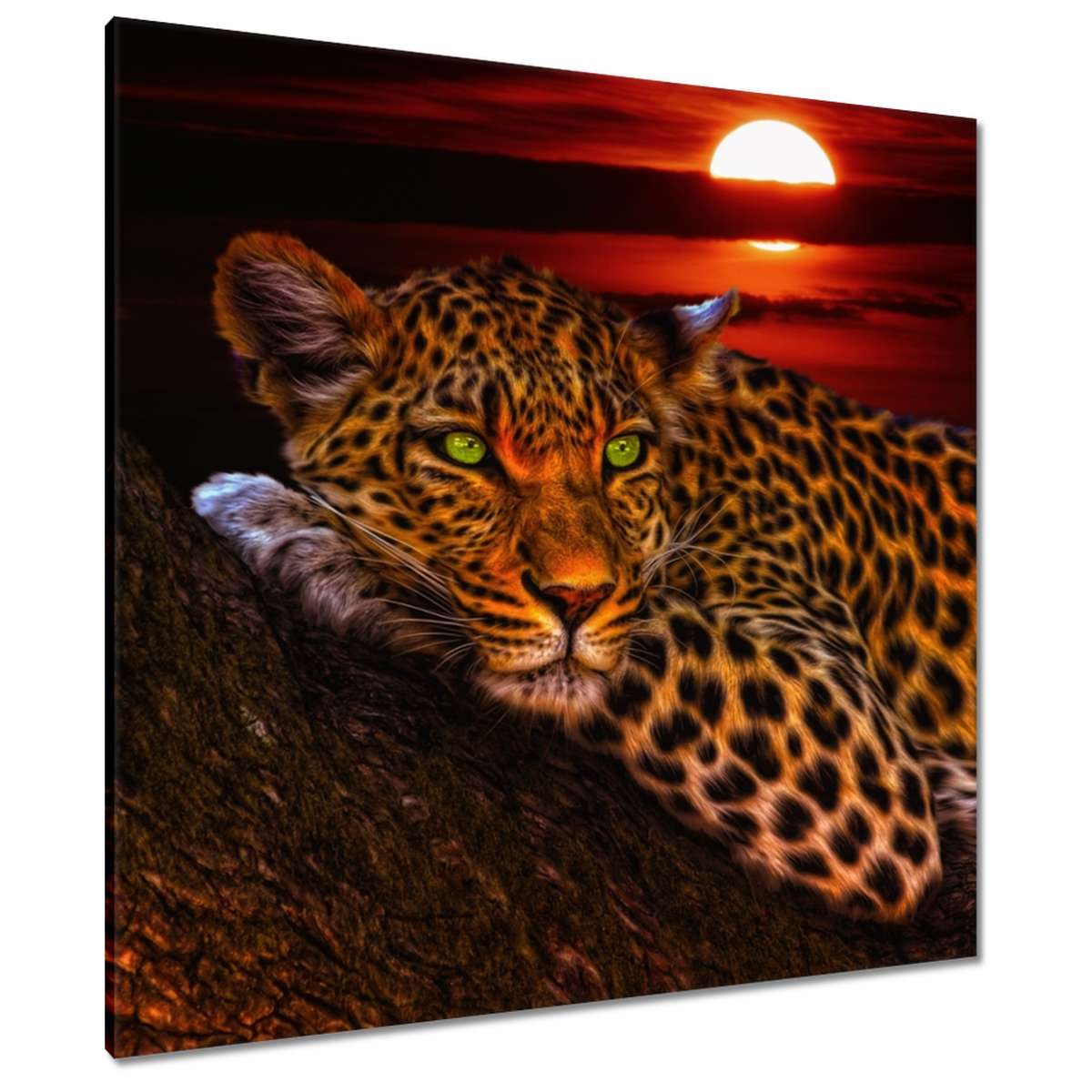 Obrazy 90x90 Leopard pantera