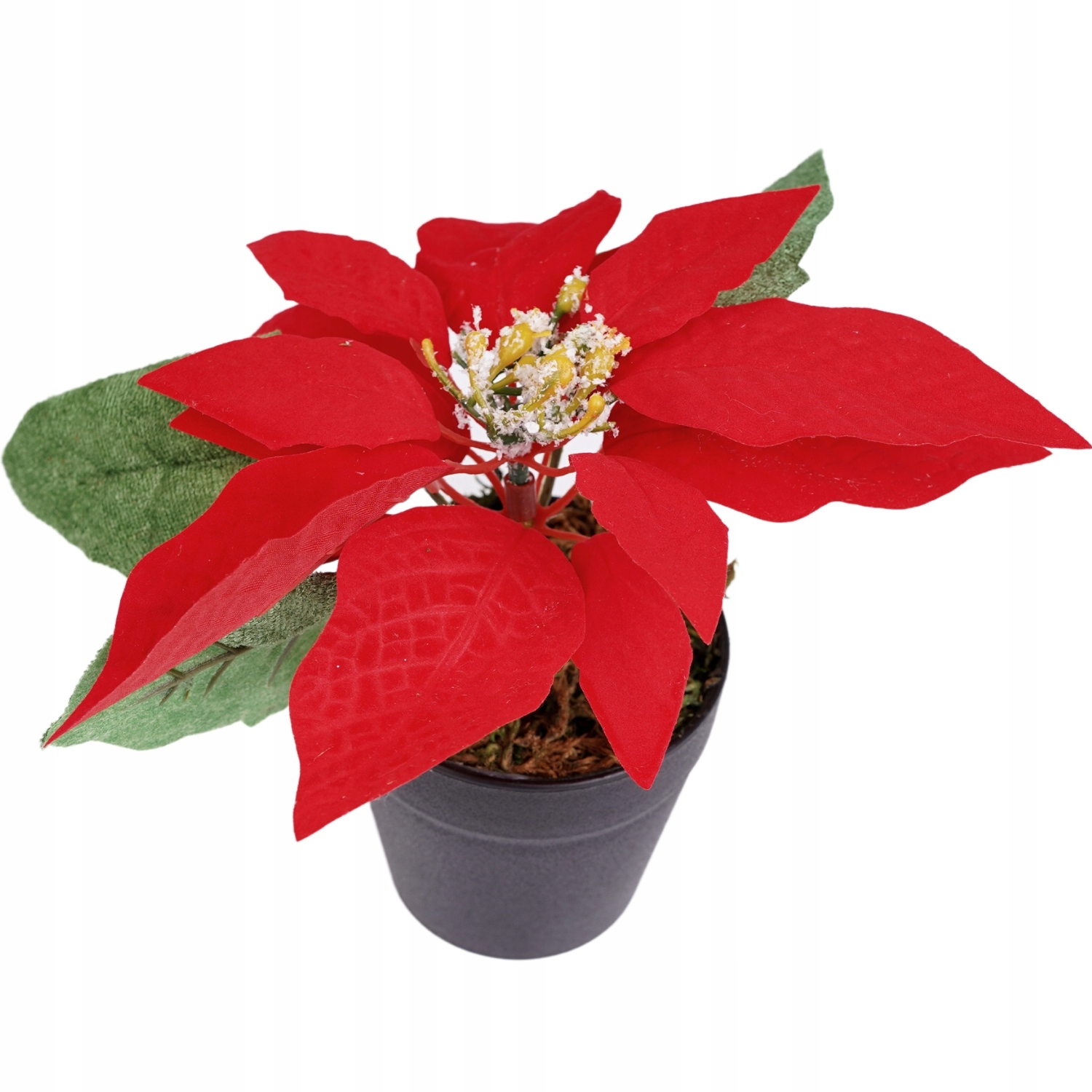 

Gwiazda Betlejemska Sztuczna Poinsecja W Doniczce