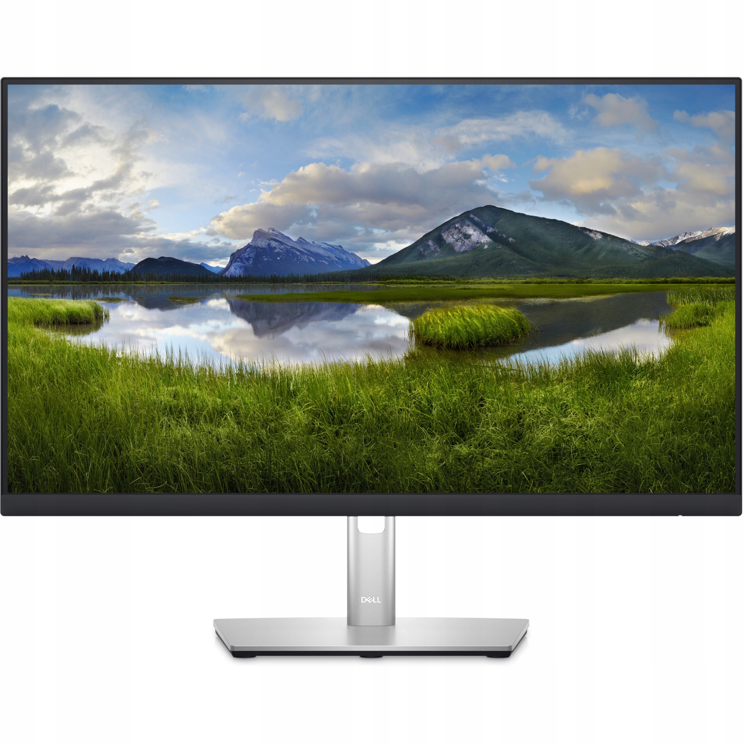 Monitor LED Dell P2423D 24 