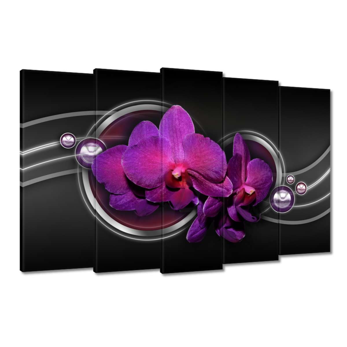 Obrazy 150x95 Fialová orchidej