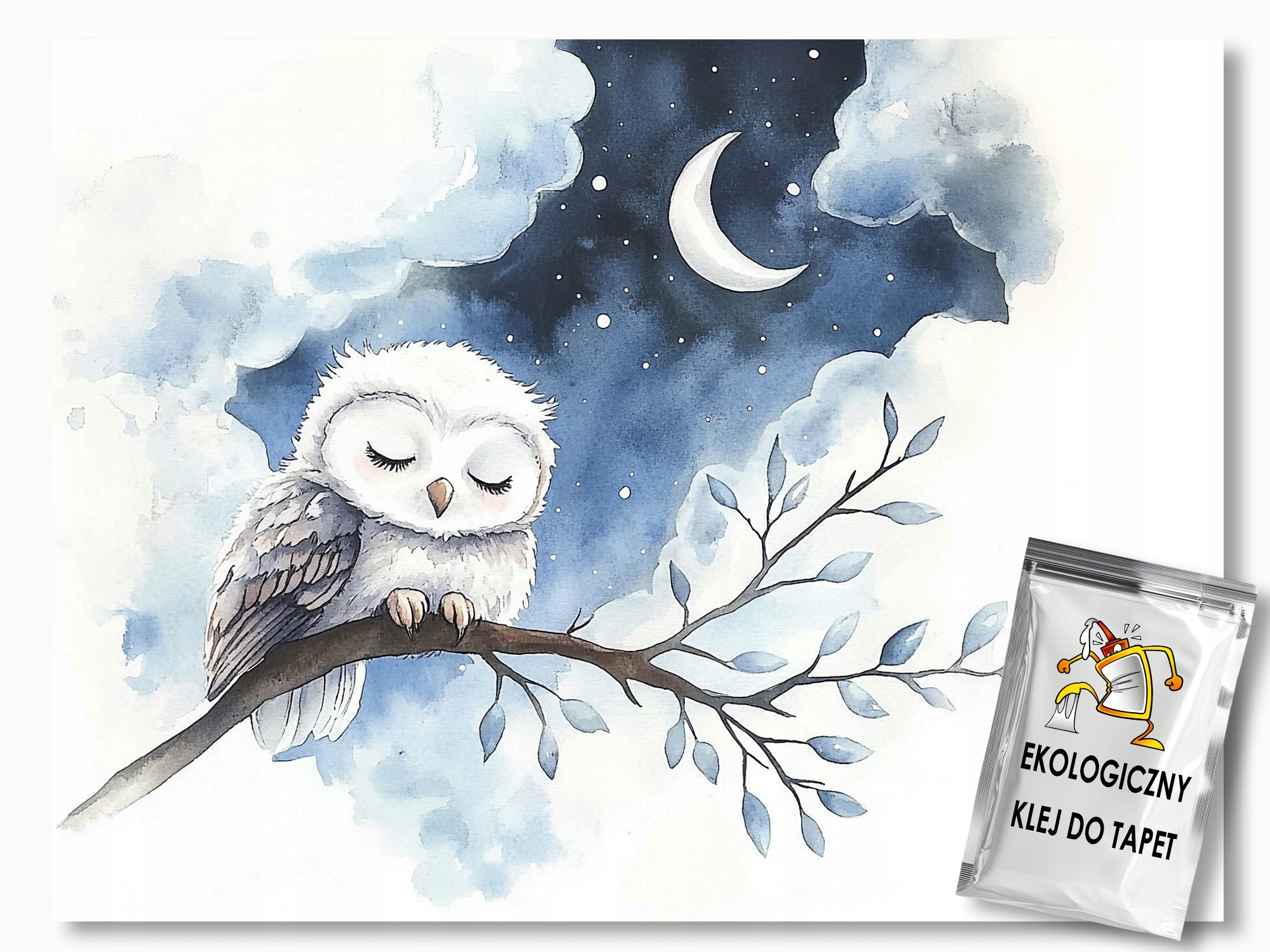 Fototapeta Flizelina Noc Měsíc Hvězdy Mraky Pták Sova 250x175 lepidlo