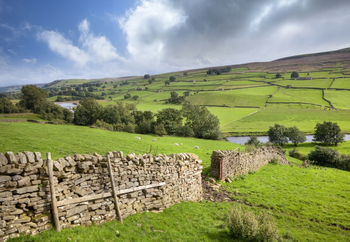 

Fototapeta Flizelinowa Yorkshire dolina 152x104