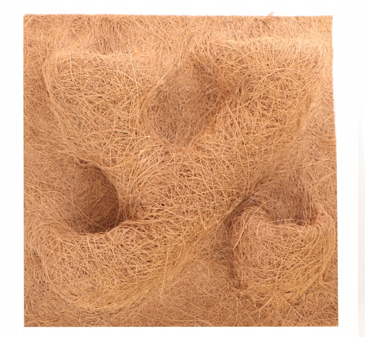Levně Terrario CocoBackgroud 40x40 pozadí z kokosu