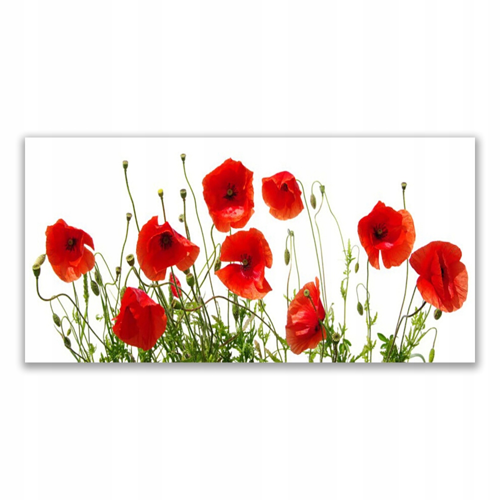 

Obraz akrylowy 120x60 Maki Kwiaty Natura Roślina