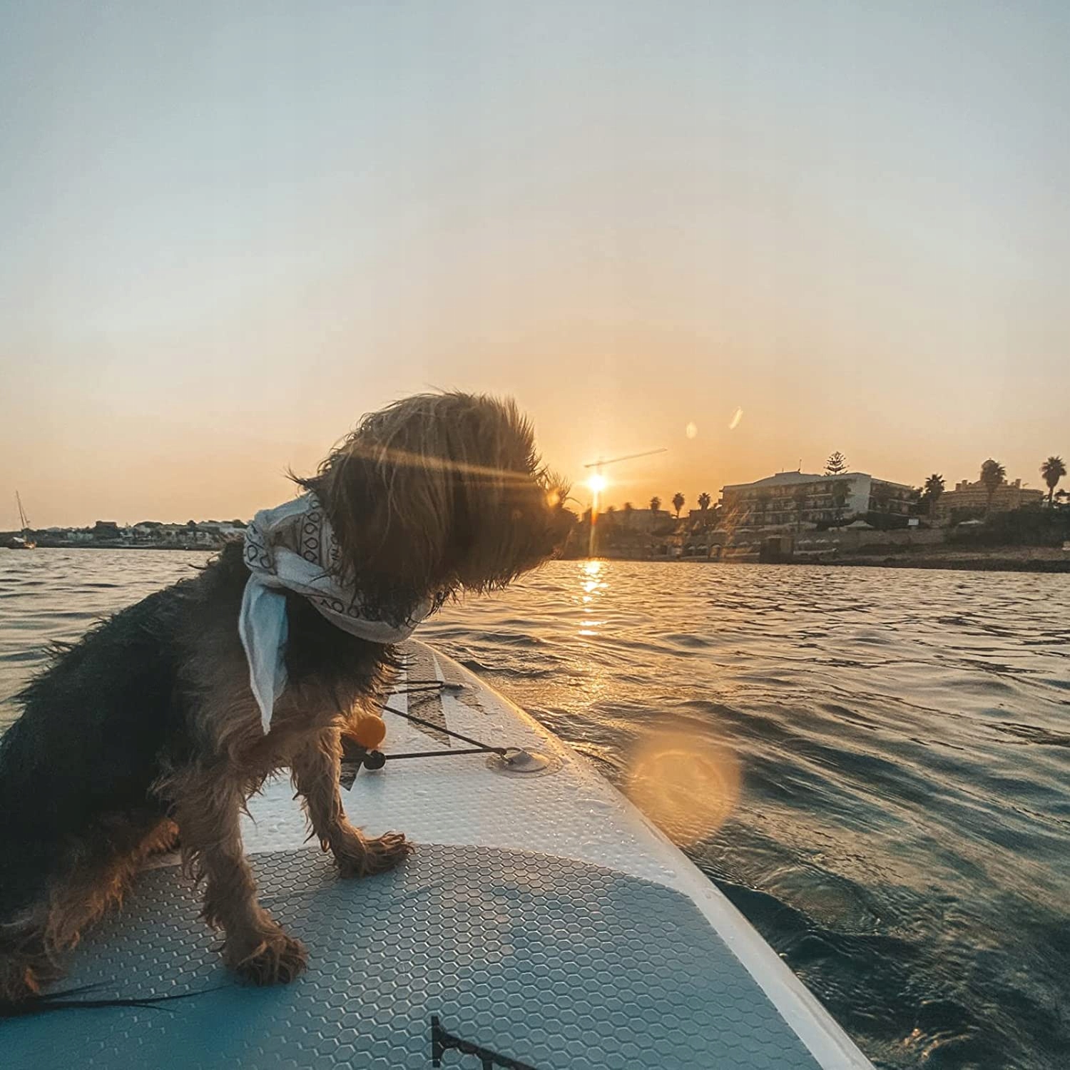 Deska SUP Paddle Board 305cm Ancheer zestaw Model SUP