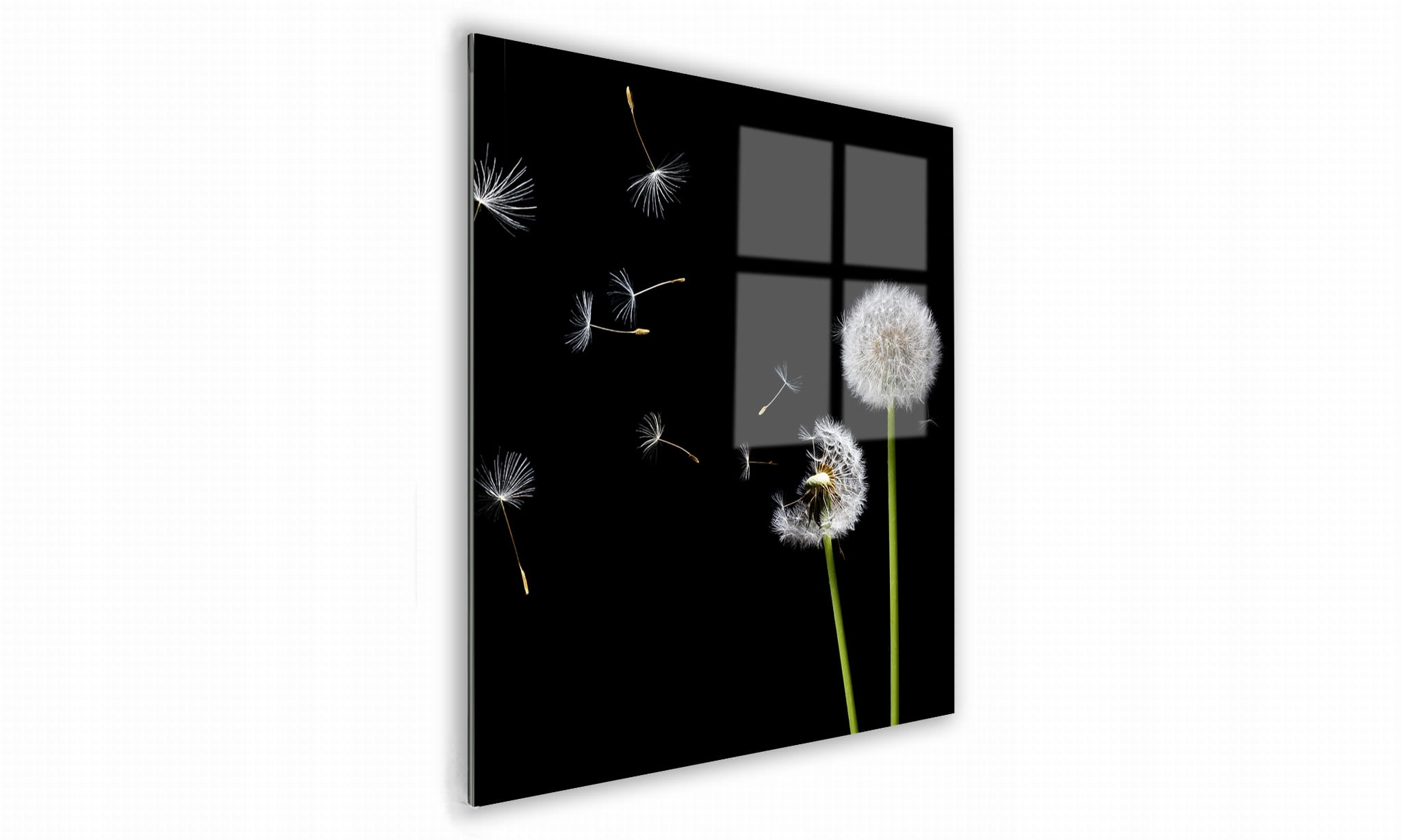 

Obraz Na Szkle Kwadratowy Dmuchawce