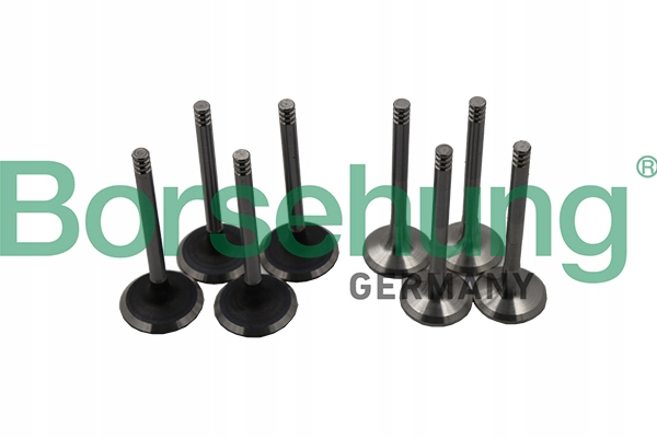 ZAWORY SSACE WYDECHOWE KPL BORSEHUNG EAN 4251475110268