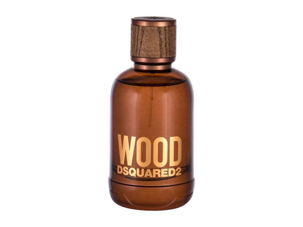 Dsquared2 Wood Toaletní voda 100 ml