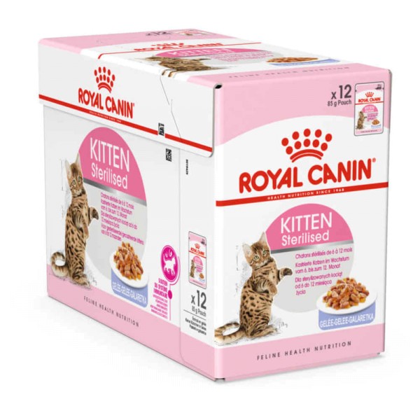 Levně Royal Canin Fhn Kitten Sterilised v želé 12x85g