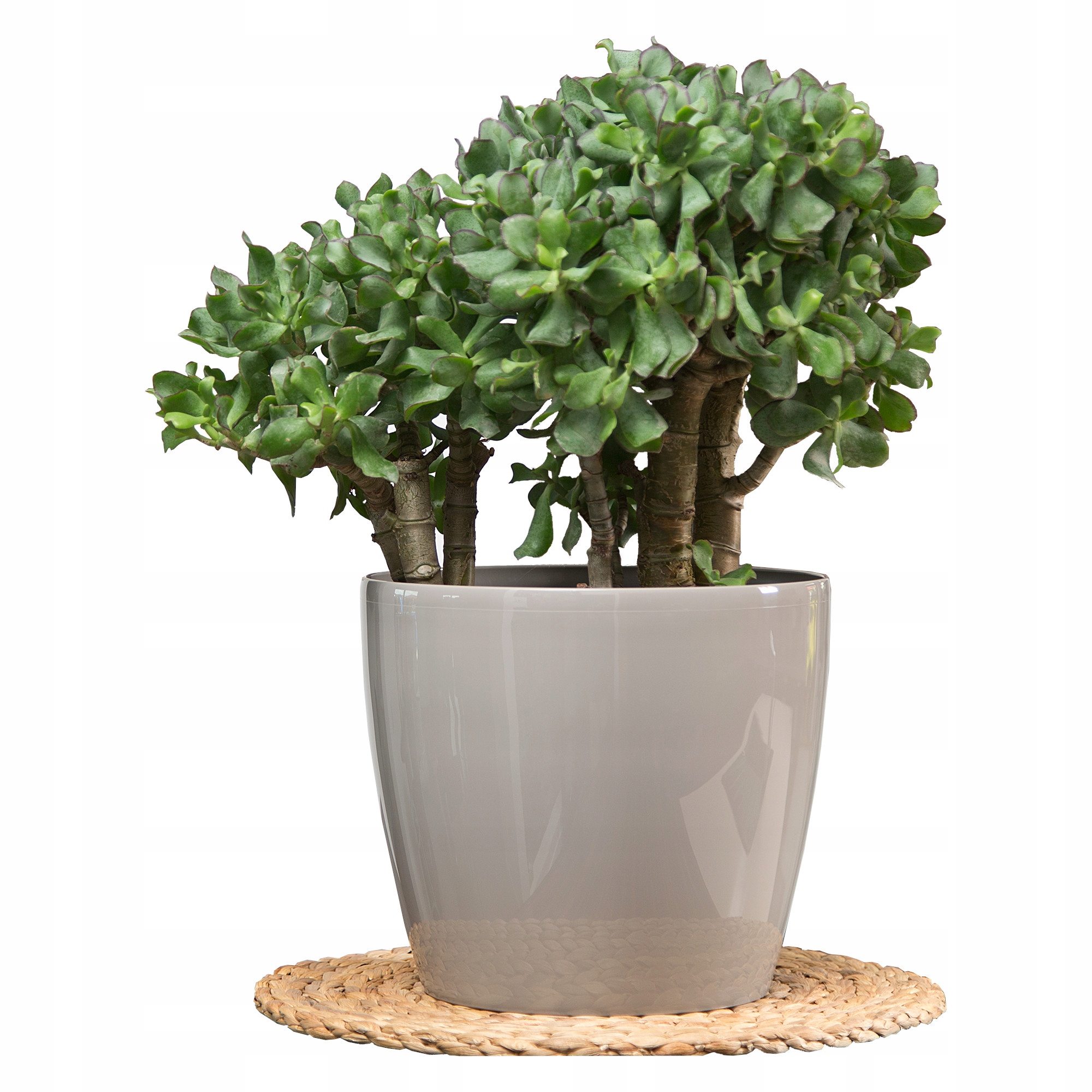 

Doniczka osłonka połysk Taupe 30cm x 26,5cm