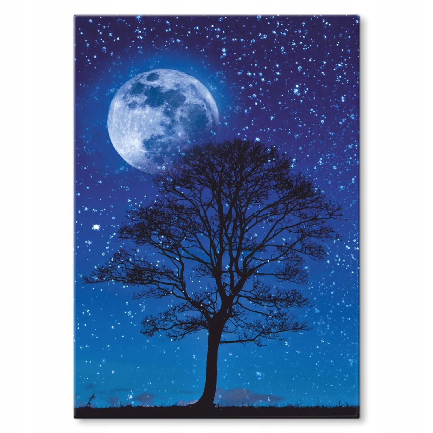 Kovový plakát Tree and moon Dárek 42 x 59 cm