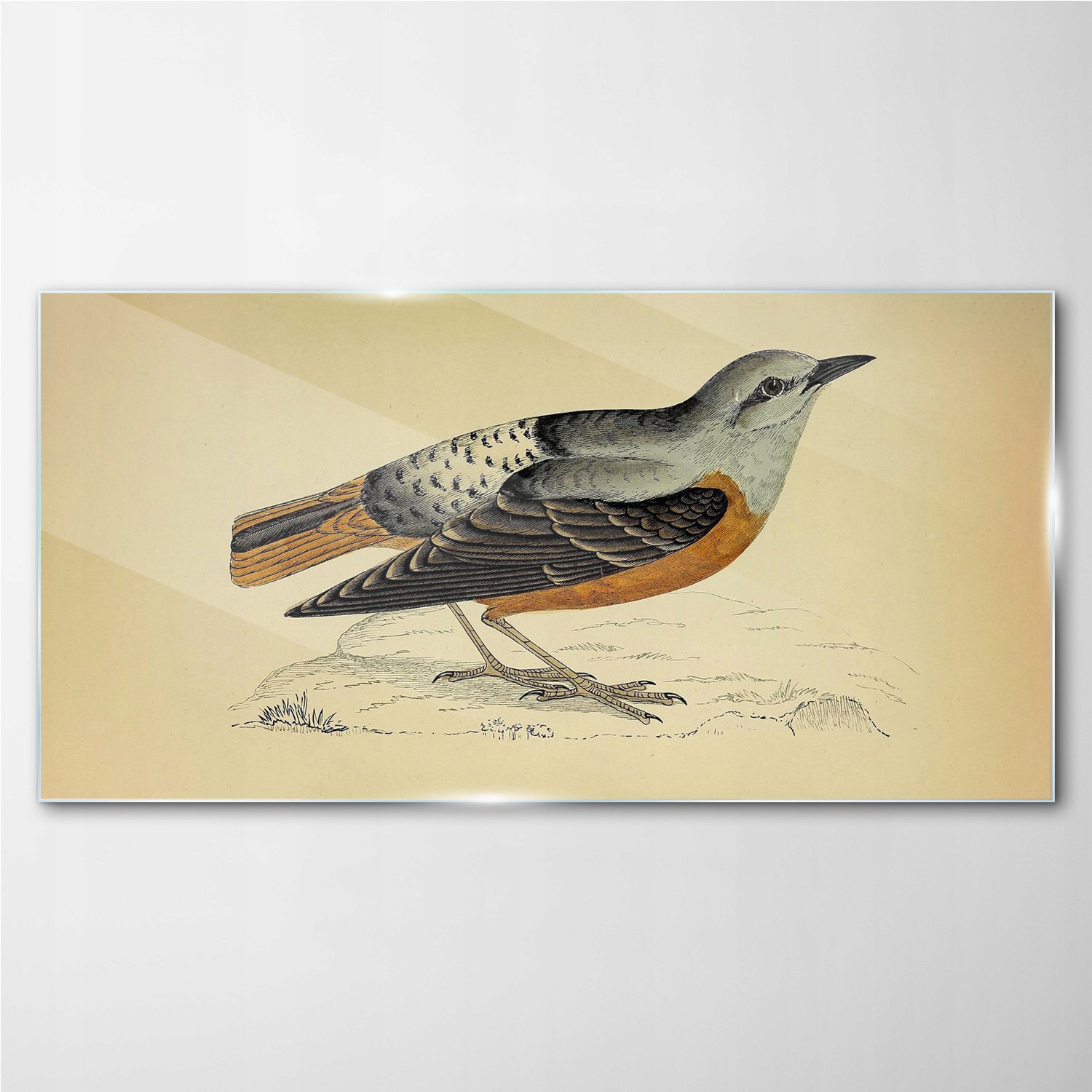 

Foto-obraz szklany do salonu Ptak rysunek 100x50