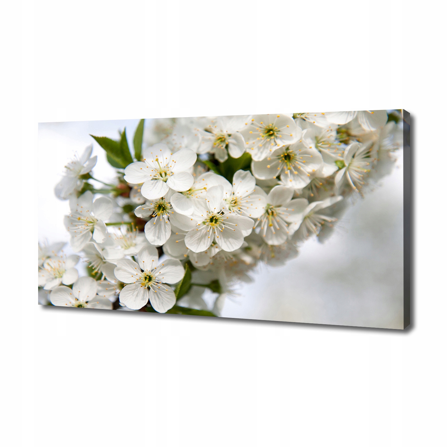 

Foto obraz duży na płótnie Kwiaty wiśni 140x70 cm