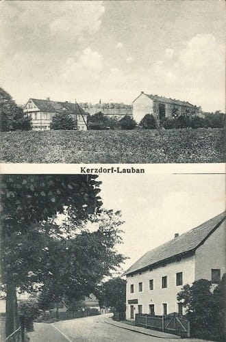 

Lubań widokowa Reprodukcja 14279