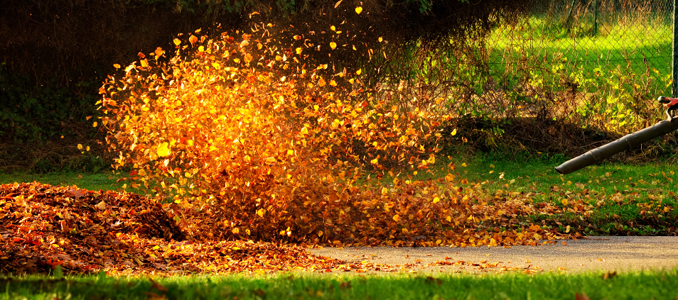 NAC DMUCHAWA SPALINOWA ODKURZACZ do LIŚCI Z ROZDRABNIACZEM 3W1 BVP260-1-Y Europejski standard emisji spalin EURO 5
