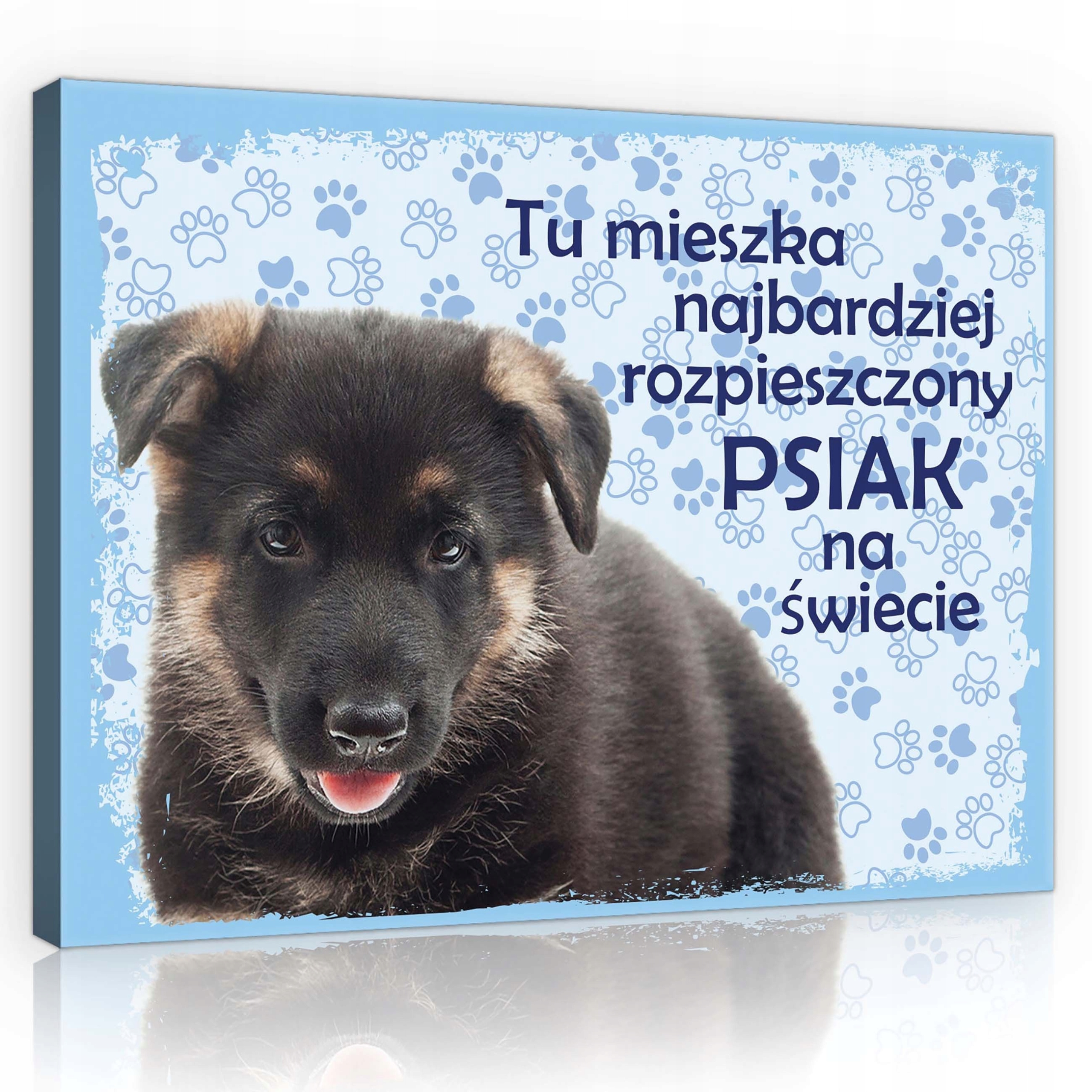 Obraz 80x60 Štěně německý ovčák roztomilý mazlíček zvíře