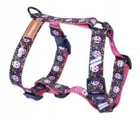 

Lauren Szelki Guard very scary L