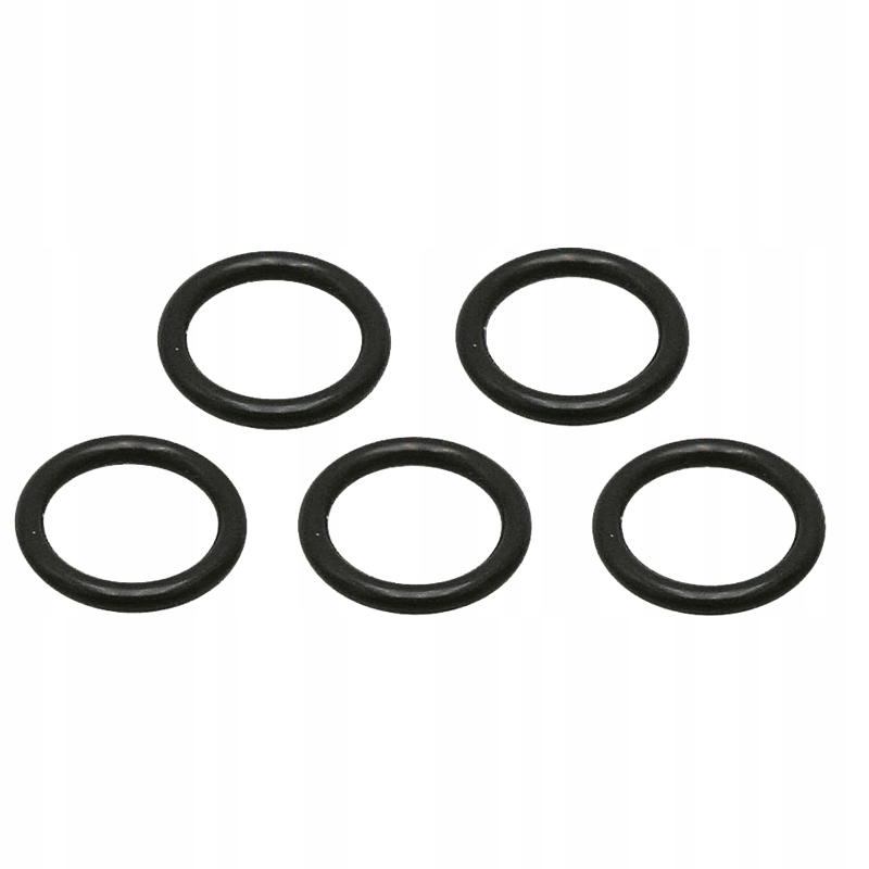 Zestaw oringów lancy myjki Karcher