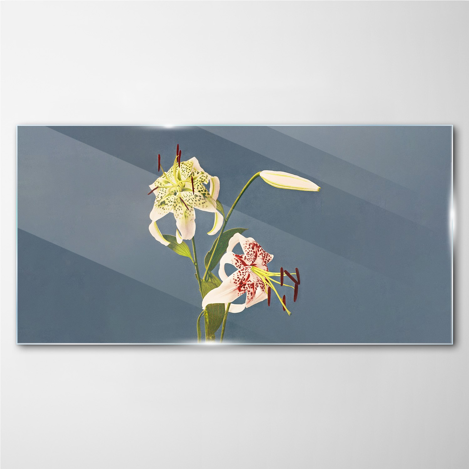 

Obraz szklany na ścianę Kwiaty rośliny 140x70 cm