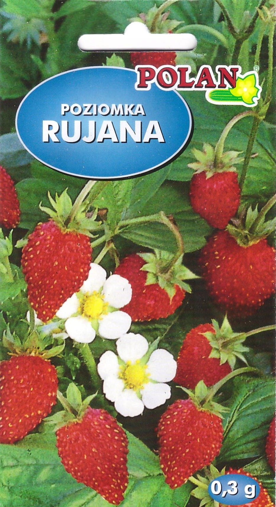 Poziomka Rujana do wiszących donic nasiona 0,3g