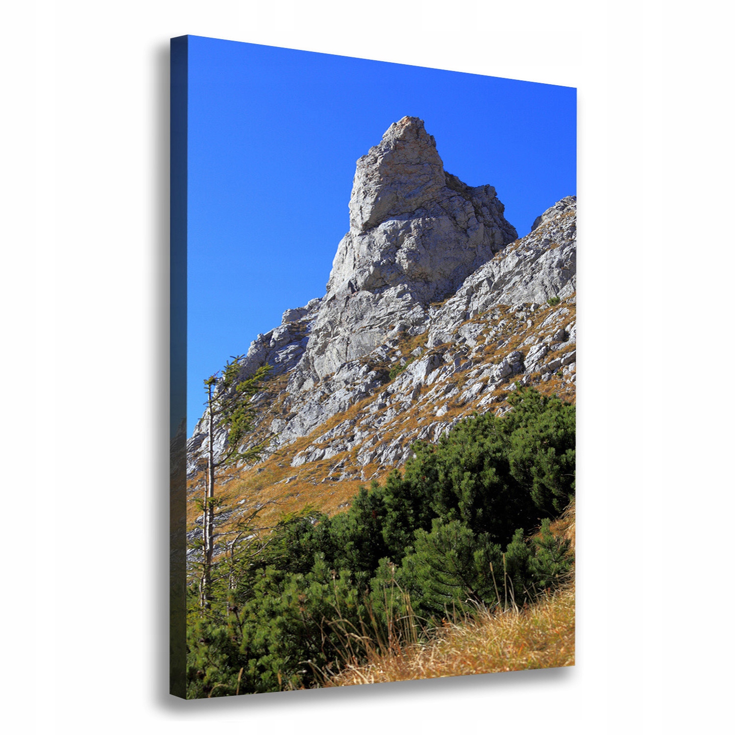 

Foto obraz na płótnie mały Giewont Tatry 70x100 cm