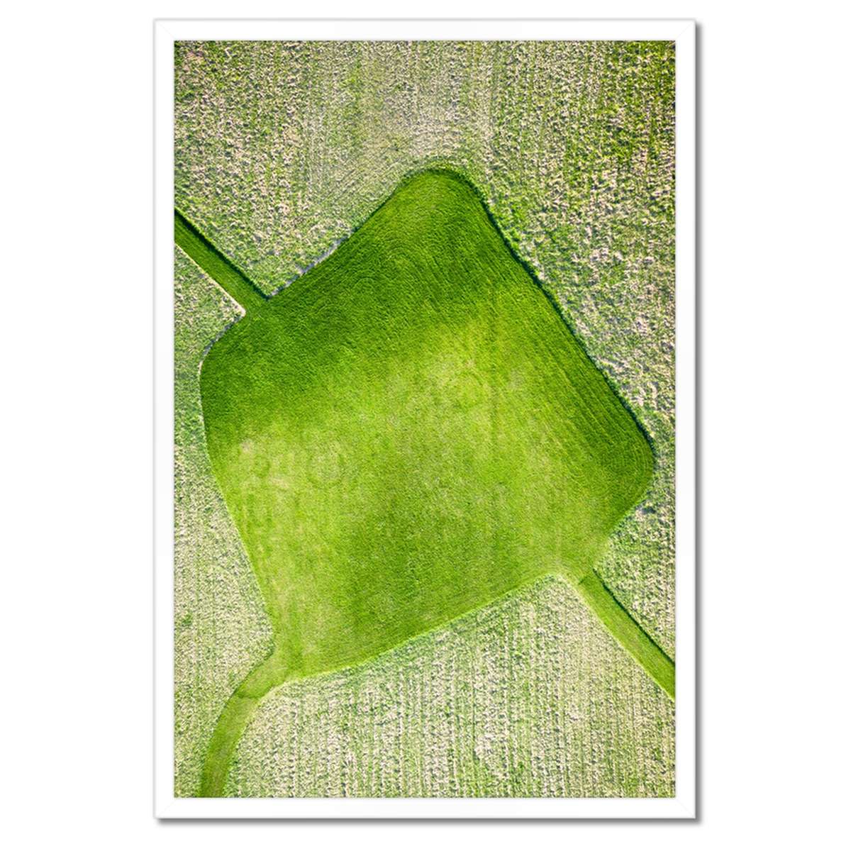 Plakáty v rámu 40x60 Tráva Pole Louka Cesta