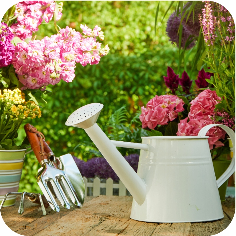 ДОБРИВО ДЛЯ САДОВИХ РОСЛИН MAGIC POWER GARDEN SUBSTRAL 300 Г Код виробника 5907487100986