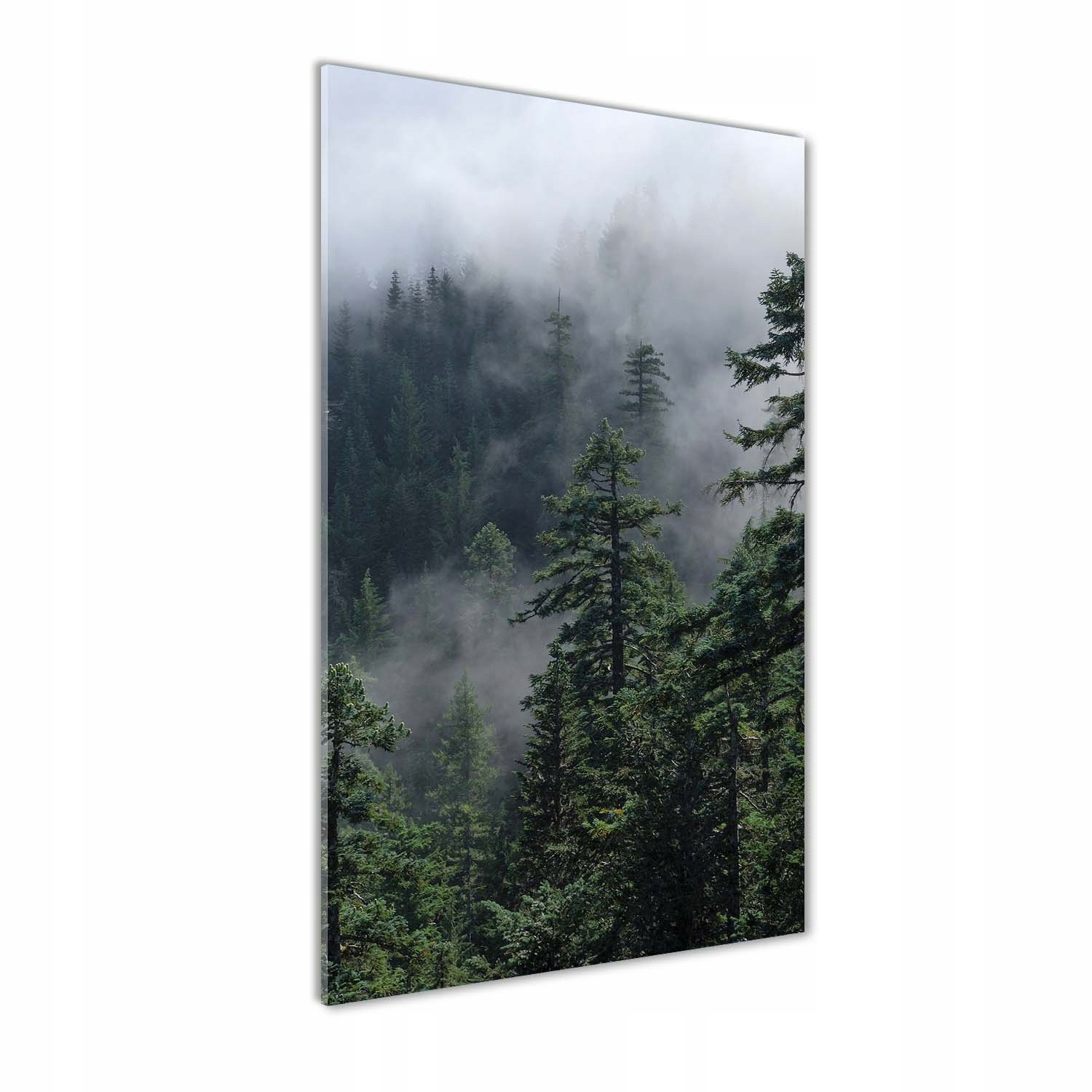 

Foto obraz akryl do salonu Mgła nad lasem 70x140cm