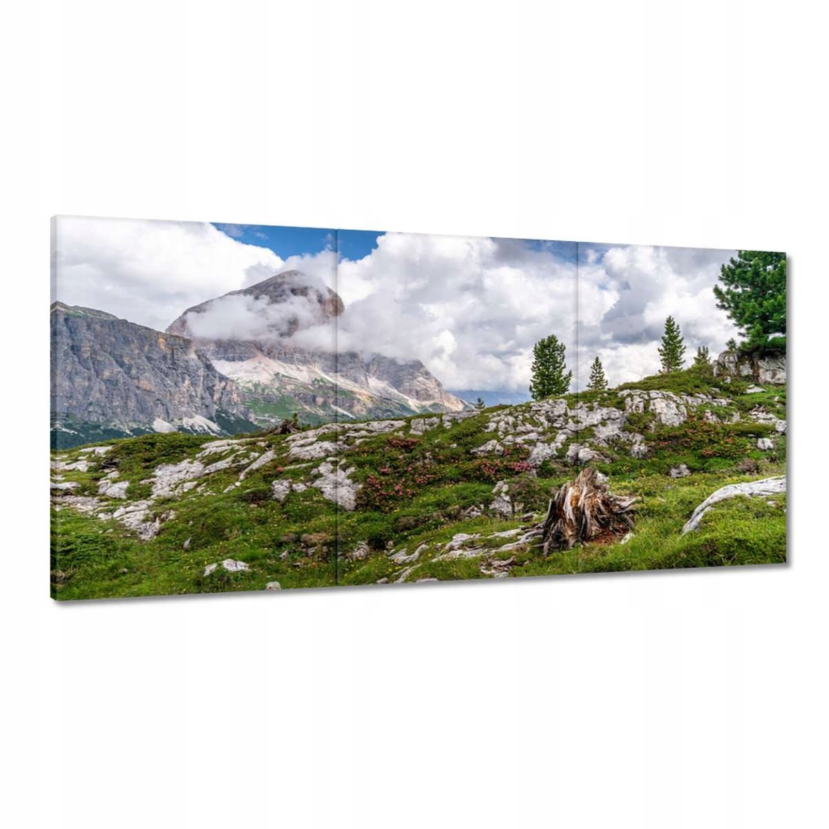 Obrazy 180x90 Ovečka v horách Pohľad