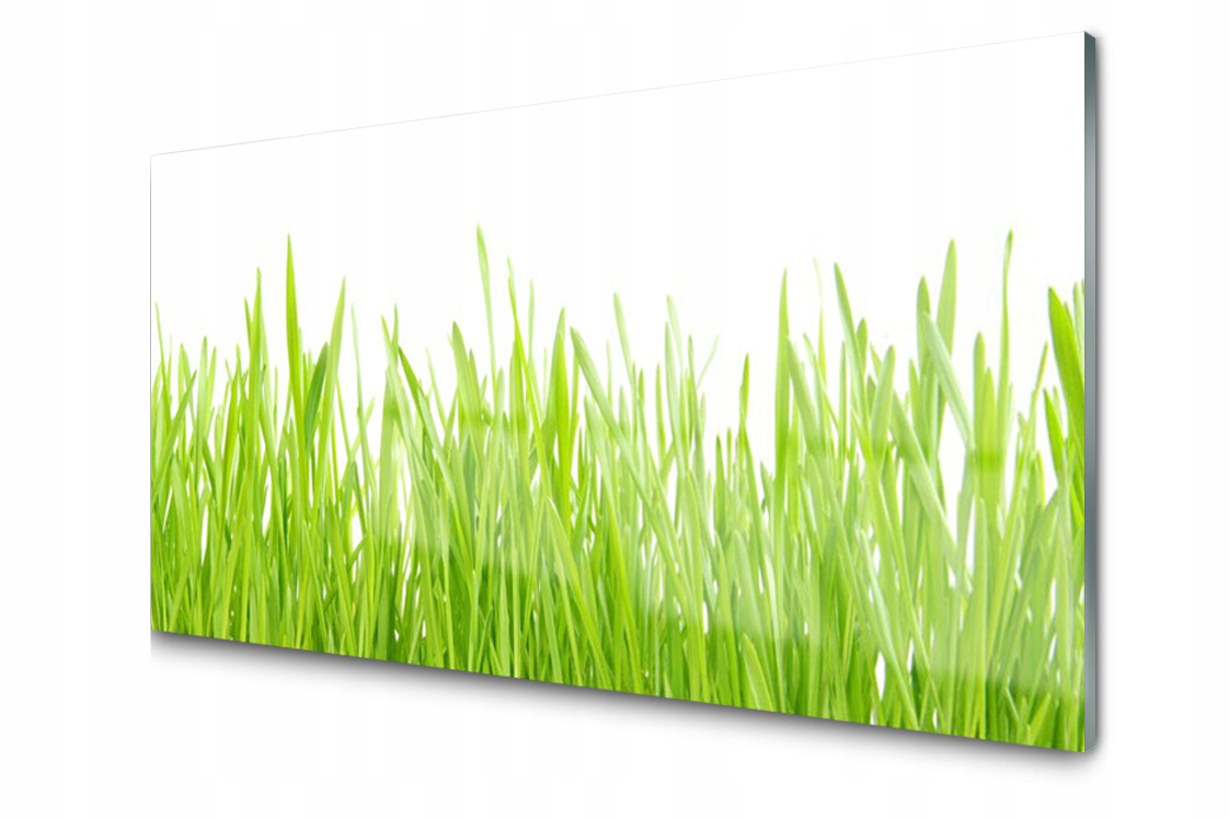 Sklenený panel Tráva Rastlina 120x60 Lepidlo