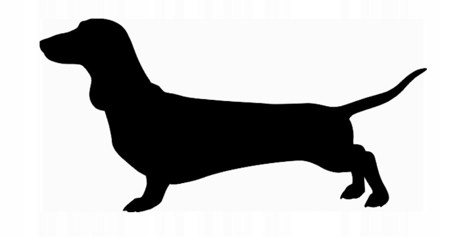 

Naklejka Na Samochód Jamnik 17cm