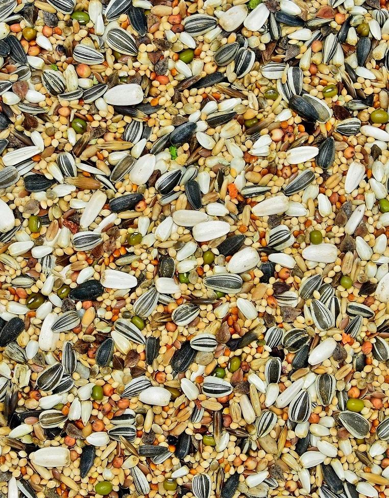 MDM Karma dla średnich papug 1kg