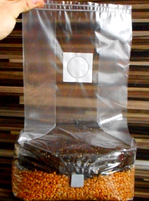 2in1 Mushroom Grow Kit I For Manure Loving Mushrooms I 2 Kg