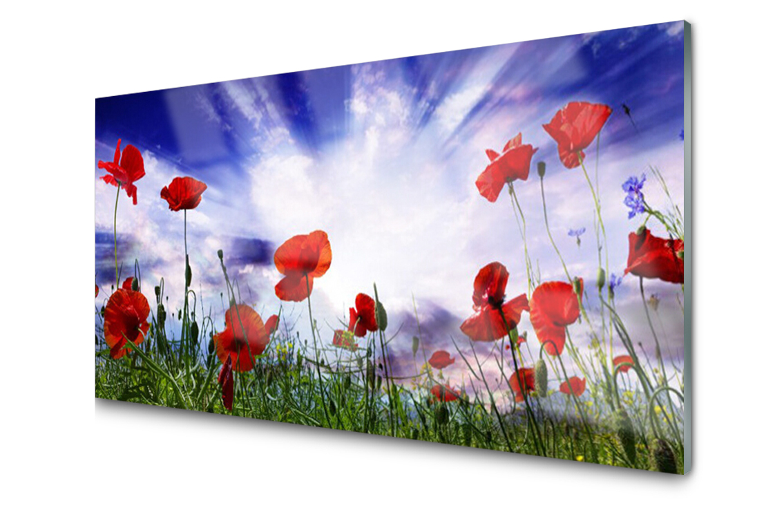 

Panel szklany Płytka Maki Roślina 140x70 + Klej