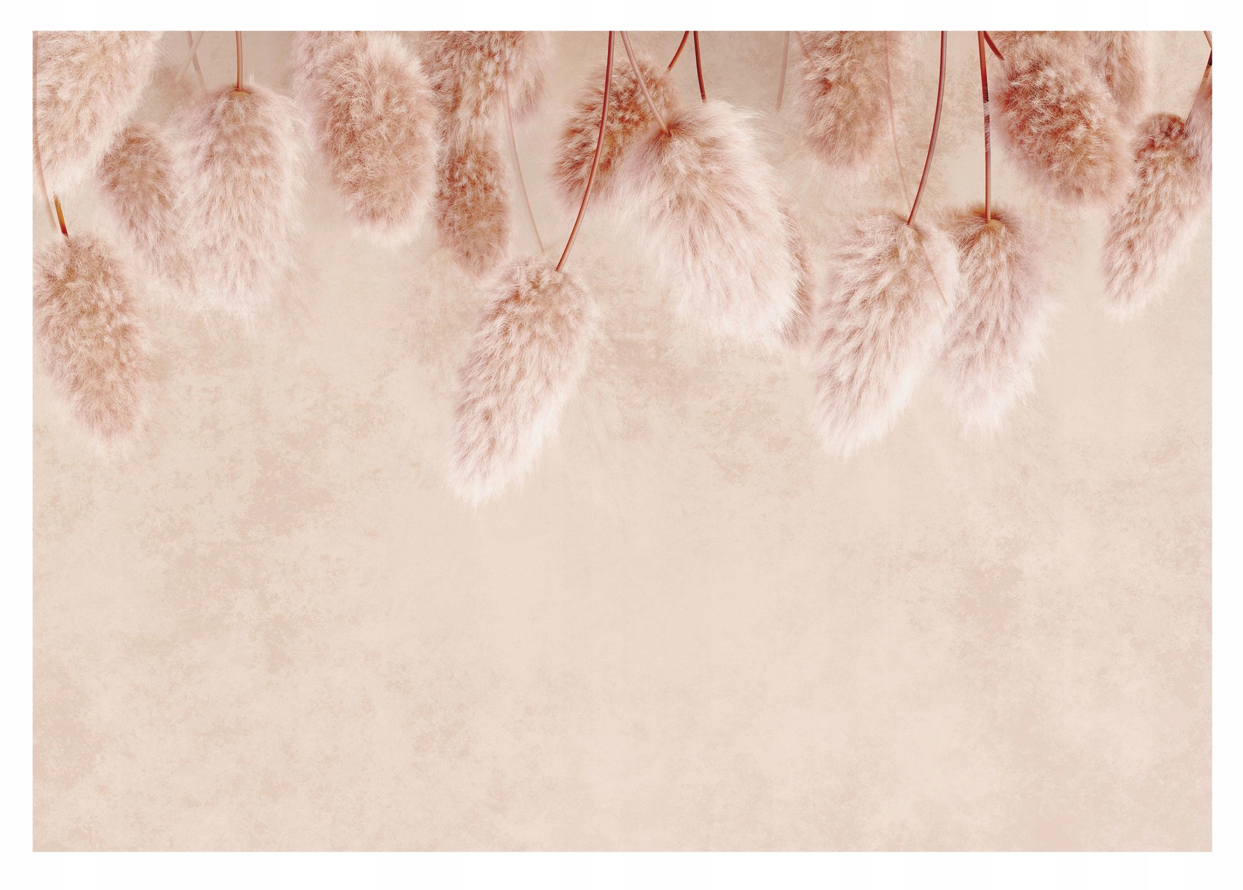 Fototapeta Tráva Boho do obývacího pokoje Ložnice 254x184