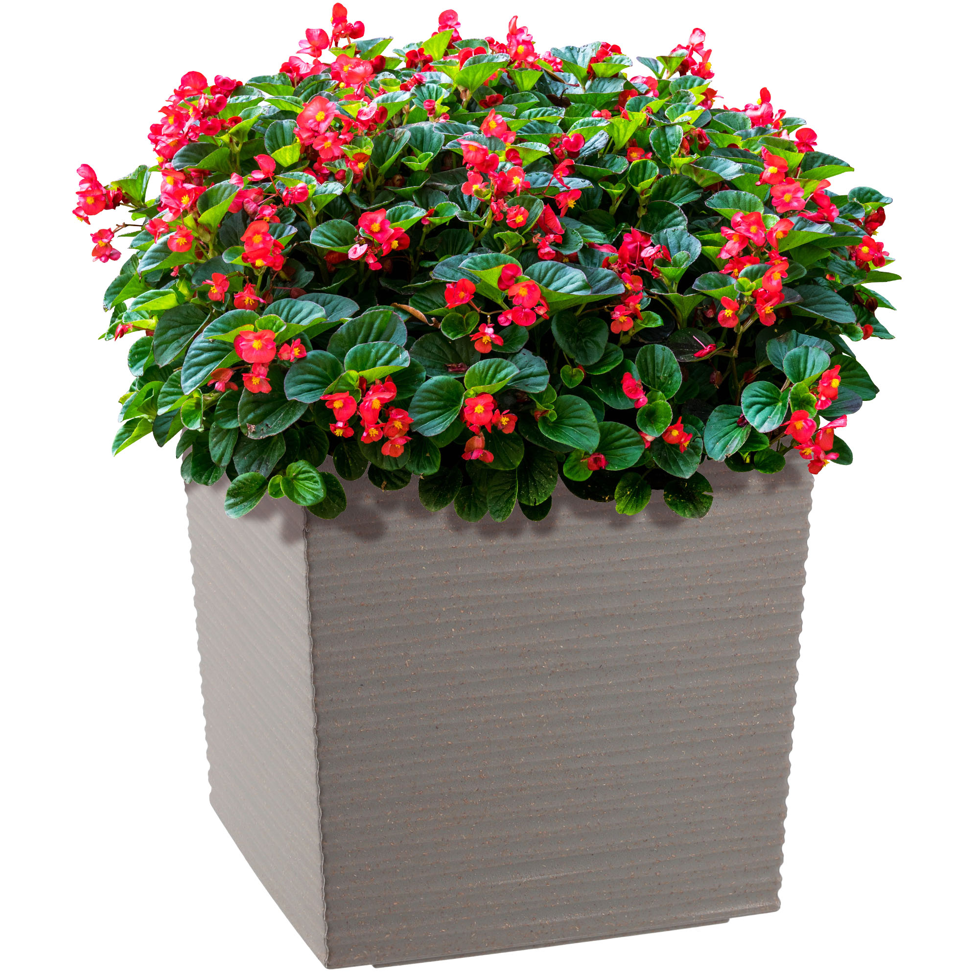 DONICZKA DONICA WKŁAD OSŁONKA SZARA 19cm