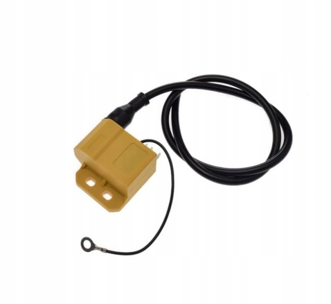 CEWKA Z MODUŁEM DO MINARELLI AM6