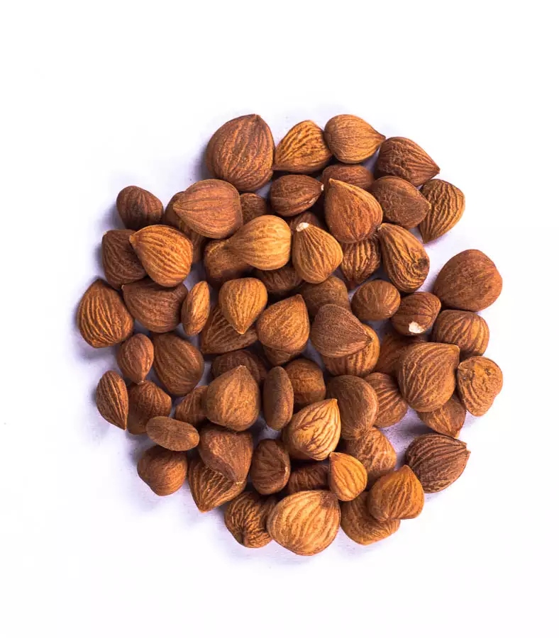 Levně Jádra meruňkových jader hořká 5 kg na nálev čaj bez chemie amygdalin