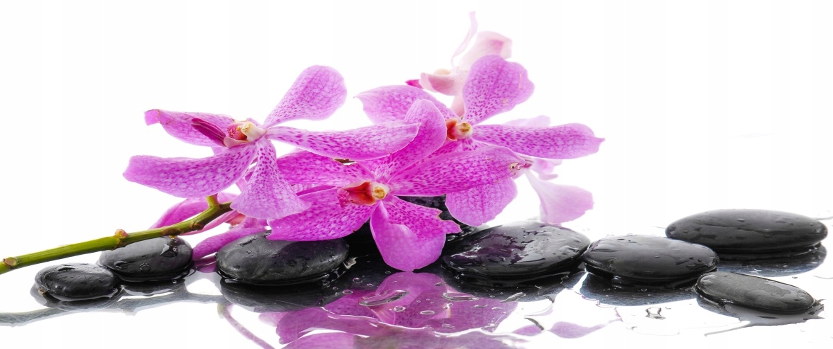 

Tapeta flizelinowa Różowa orchidea 250x104