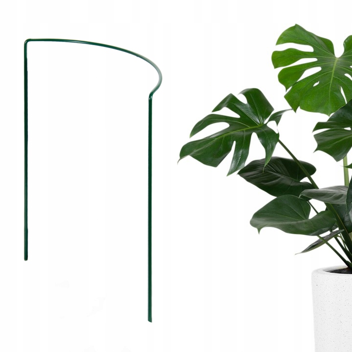 

Zielona Podpora do Monstery 50 cm Obejma z drutu