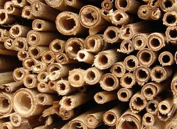 Duży domek dla pszczół murarka pożytecznych owadów z drewna Produkt Polski Głębokość produktu 13 cm