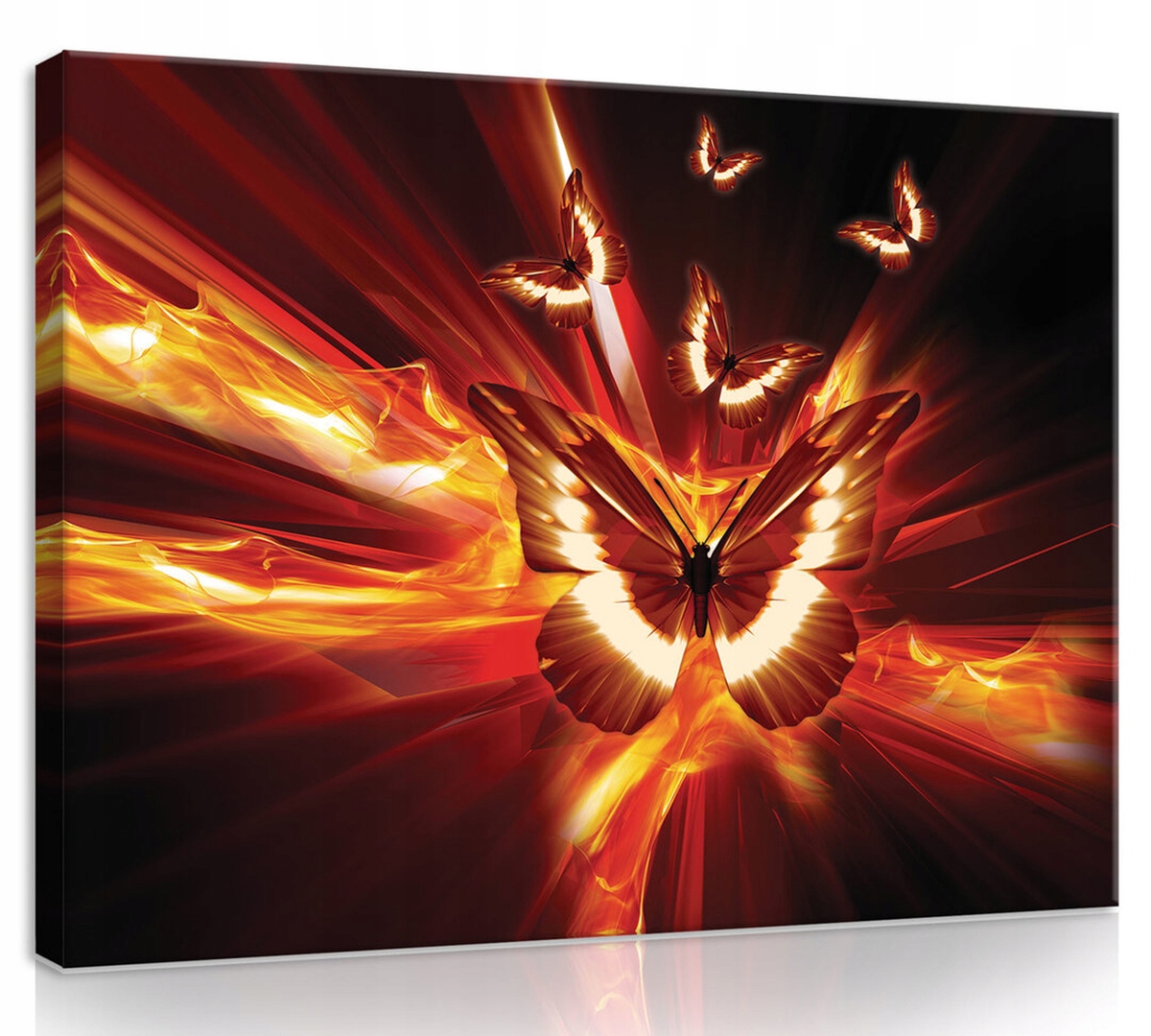 Obraz Na Plátně Canvas 80x60 Motýl Hmyz Oheň Světlo