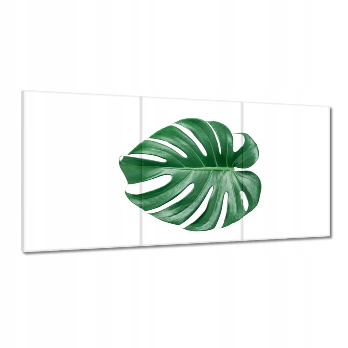 Obrazy 180x90 List diery monstery