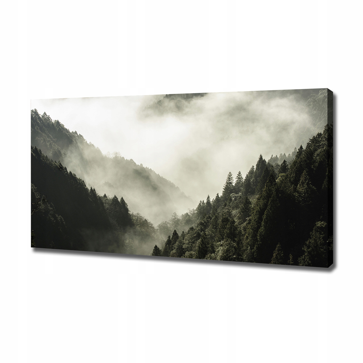 

Foto obraz na płótnie Mgła nad lasem 120x60 cm