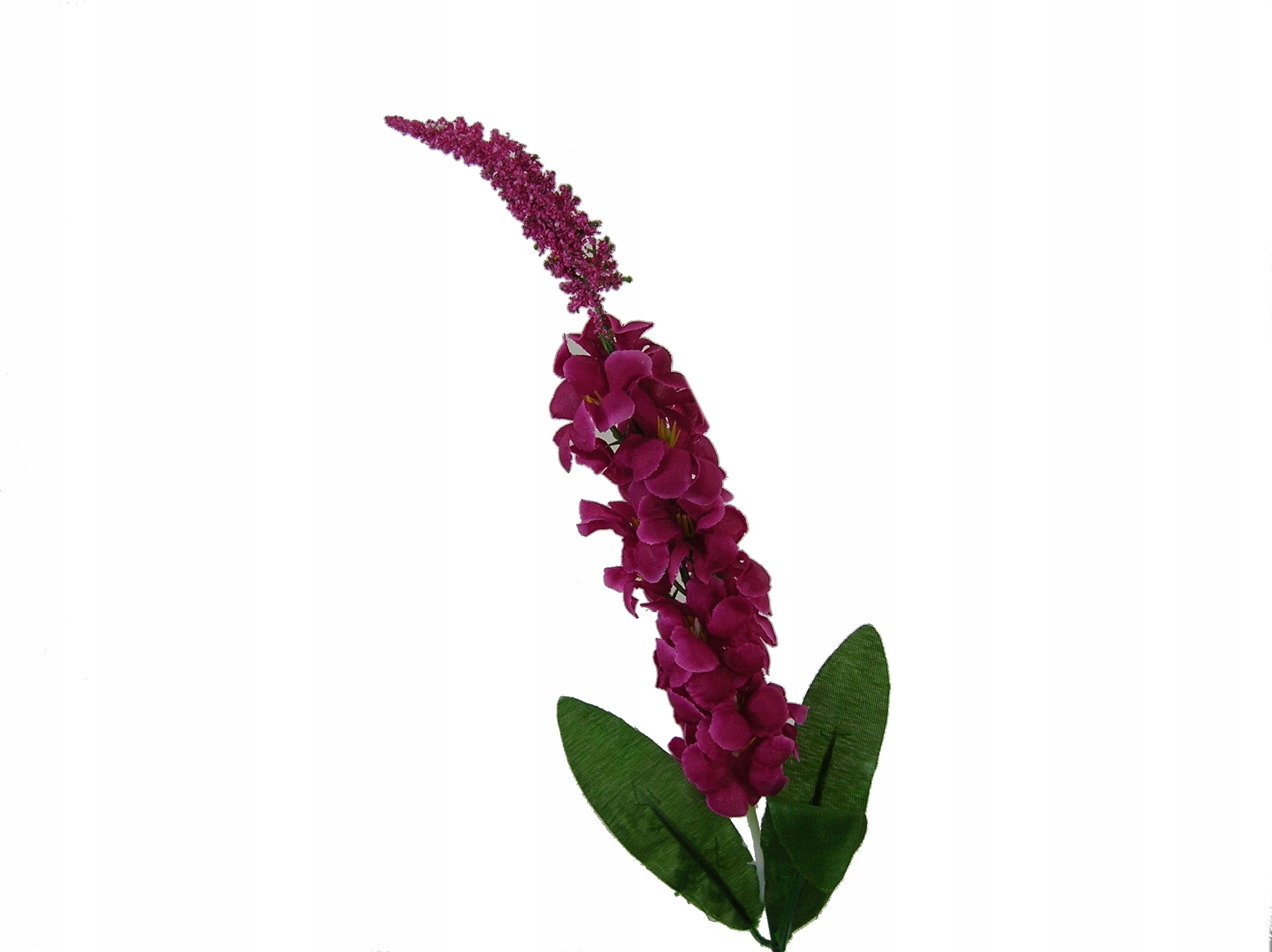 

Annpaso Ostróżka Różowa Gałązka