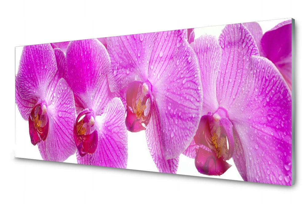 

Panel szklany do kuchni Kwiaty Roślina 125x50