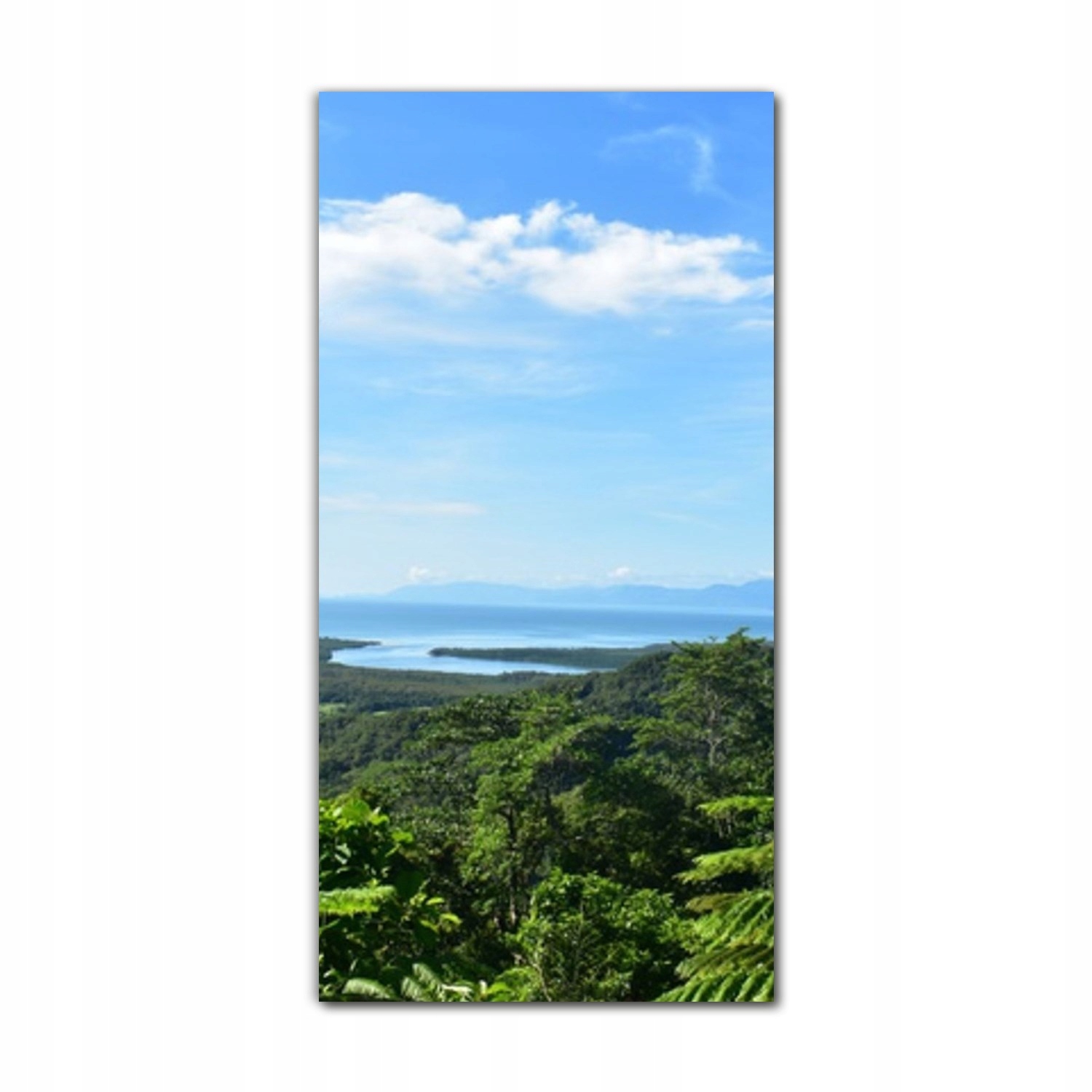 

Foto na szkle ścienne 60x120 Tropiki plaża palmy