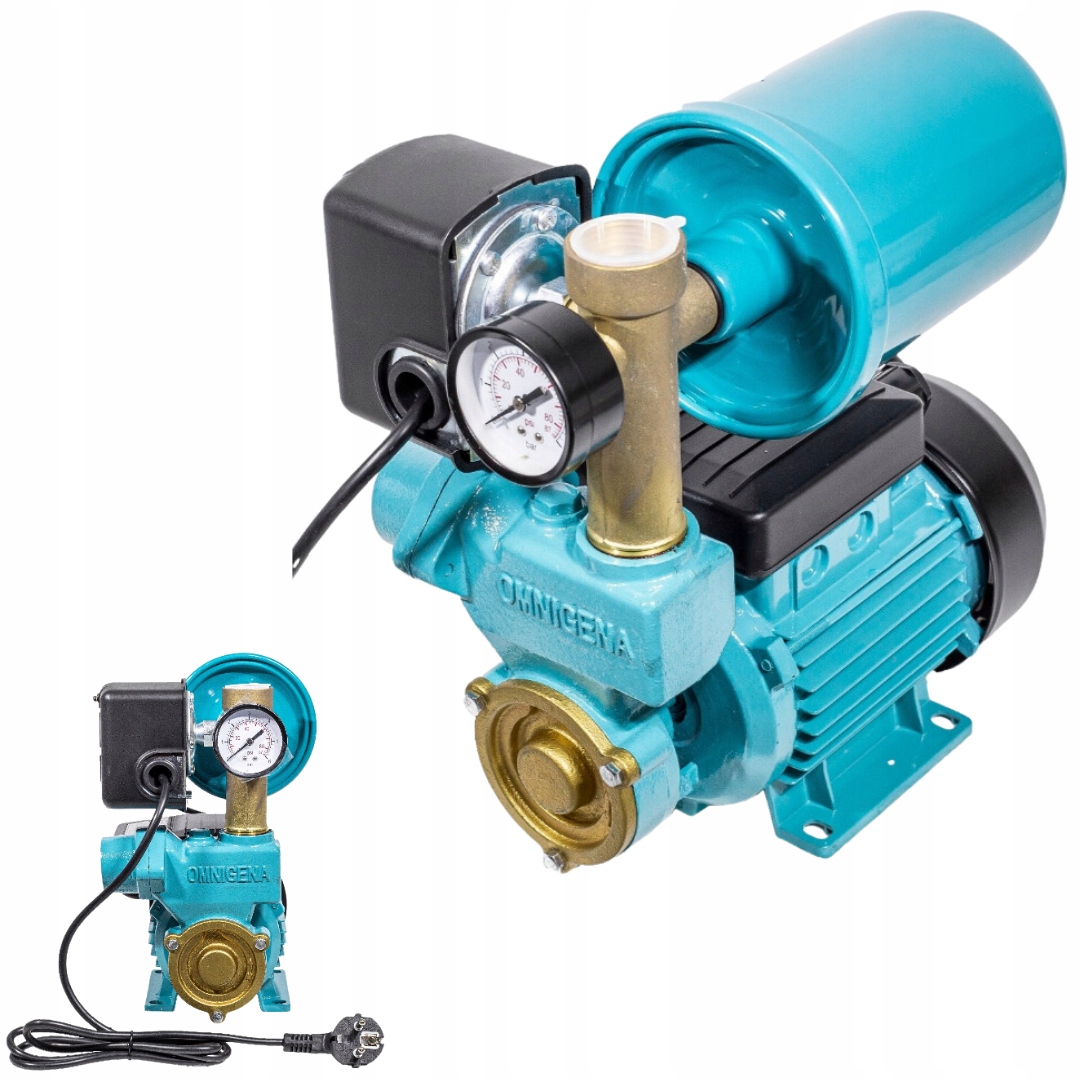 Pompa Do Wody Hydroforu Podlewania Hydroforowa Powierzchniowa Wz 250 2L