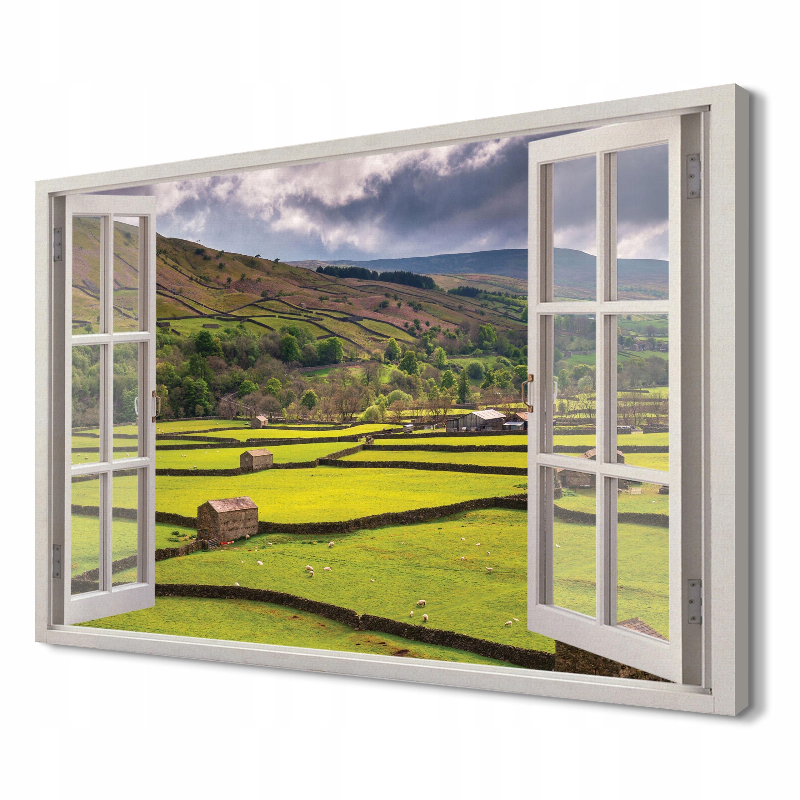 

Pole Yorkshire Obraz powiększający wnętrze 120x80